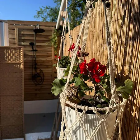 Nemo's House * Mesimvria (Evros)