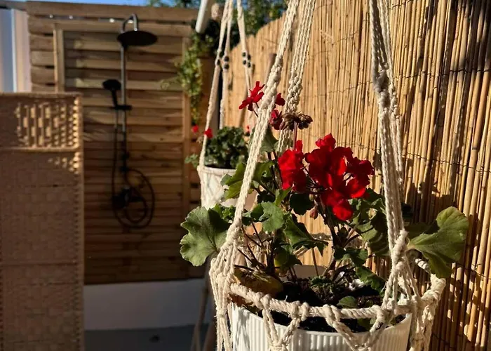 Nemo's House * Mesimvria (Evros)